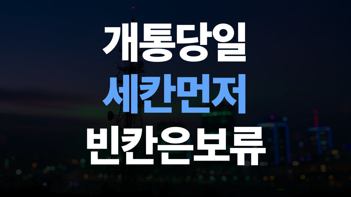핸드폰 요금제 추천 비교분석 - 셀프개통 당일 칸 맞추는법 총정리