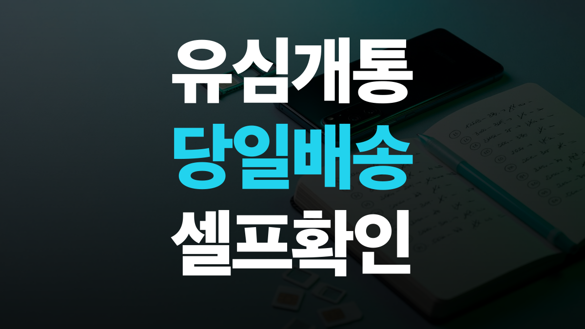 핸드폰 요금제 추천 비교분석 - 유심 셀프개통 당일개통 방법 총정리